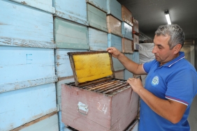 Büyükşehir’in Türkiye’de İlk Olan Temiz Petek Projesi Başladı (1)