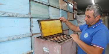 Büyükşehir’in Türkiye’de İlk Olan Temiz Petek Projesi Başladı (1)