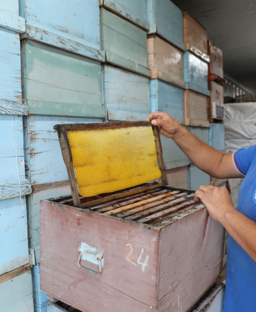 Büyükşehir’in Türkiye’de İlk Olan Temiz Petek Projesi Başladı (1)
