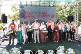 Kavacık Köyü üzüm festivali (4)