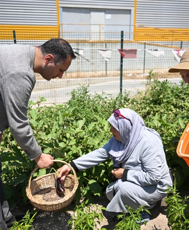 Kent Bostanları (5)