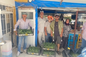 Urla Belediyesi’nden üreticiye 50 bin adet sebze fidesi (2)