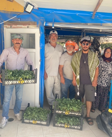 Urla Belediyesi’nden üreticiye 50 bin adet sebze fidesi (2)