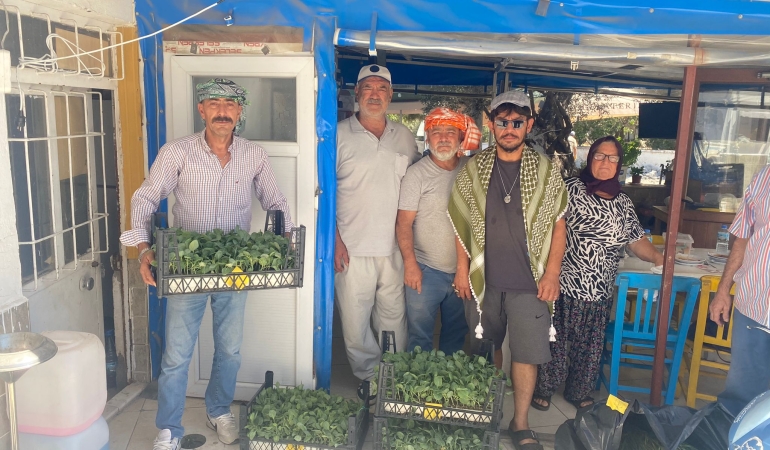 Urla Belediyesi’nden üreticiye 50 bin adet sebze fidesi (2)