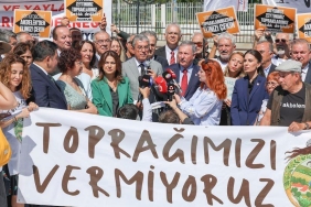 WhatsApp Image 2025-09-17 at 14.05.34