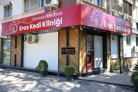 YZC_8446-2