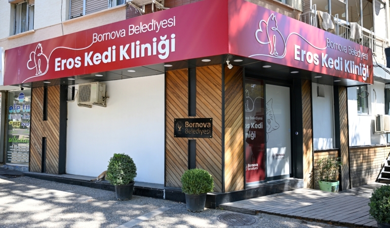 YZC_8446-2