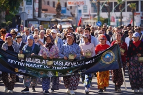 20. Ayvalık Uluslararası Zeytin Hasat ve Turizm Festivali