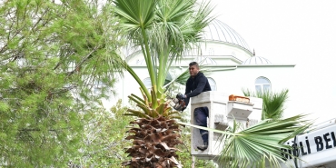 6305a9f3-ef0c-4696-b7a8-4cadb0b8beb3