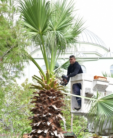 6305a9f3-ef0c-4696-b7a8-4cadb0b8beb3