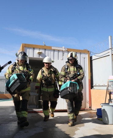 97fc553d-a31e-4ded-b4ea-14616d21aa42