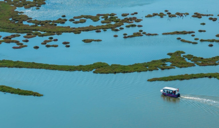 11.01.2026_67e7960b-670f-44b3-8181-340925eb21e1