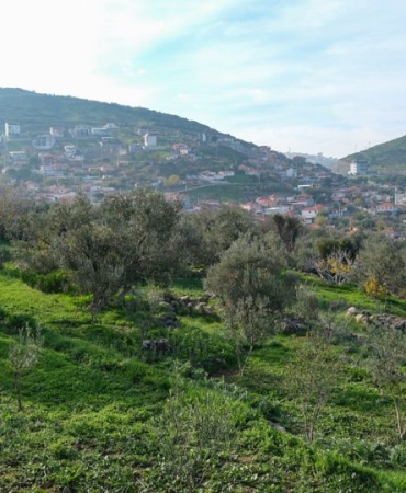 18eede57-ef2d-4c95-bfa5-6976a9f0b219