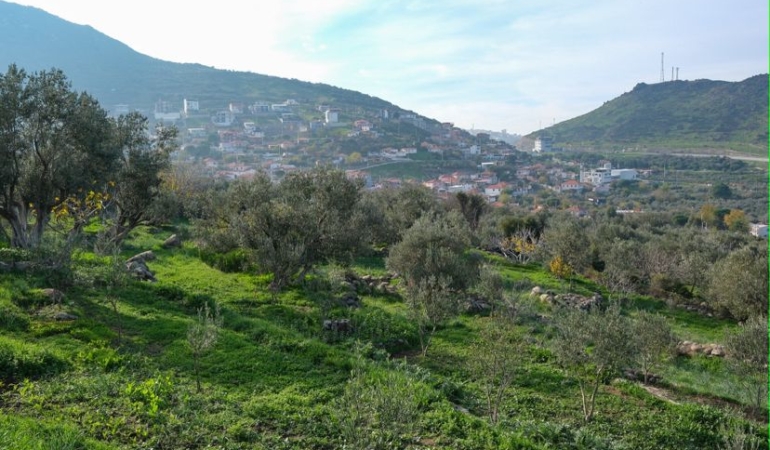 18eede57-ef2d-4c95-bfa5-6976a9f0b219