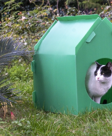 4.01.2026_0d903ddb-2931-4e96-bf92-065a8a800f1b