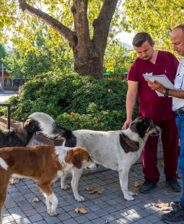 5.01.2026_2cd6291e-27b9-4889-b6ce-10db428f8698