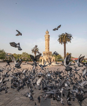 6.01.2026_38c96659-a067-4327-b2fe-7d5d1e1927c0