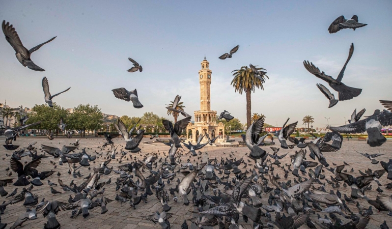 6.01.2026_38c96659-a067-4327-b2fe-7d5d1e1927c0