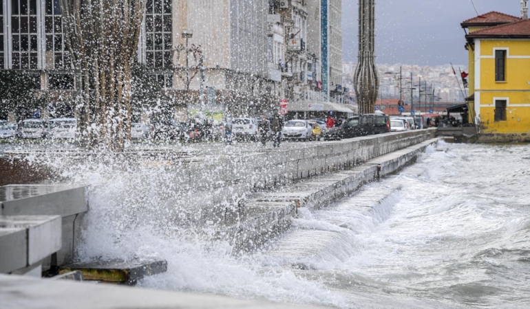 8.01.2026_733ebc30-26d5-41c9-b71b-0f4bfda8076e