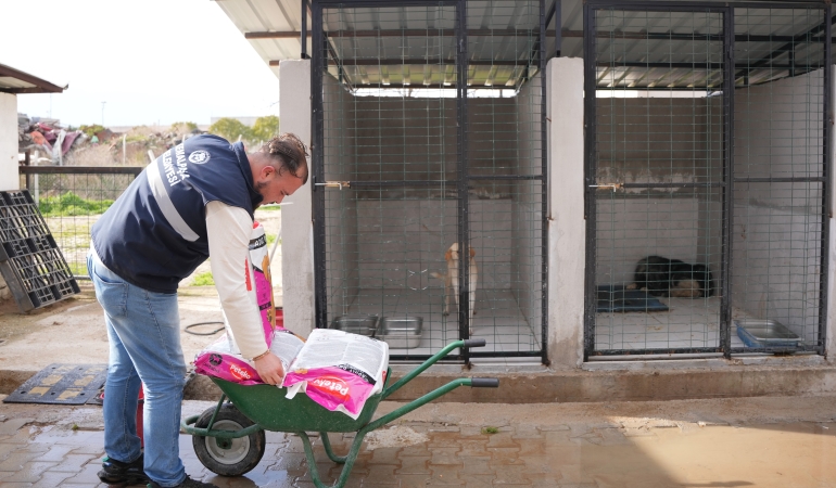 Kemalpaşa’da can dostlar için büyük adımlar