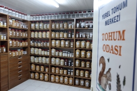 Büyükşehir Yerel Tohum Merkezi’nden 81 İle 22 Milyon Yerel Tohum Desteği (1)