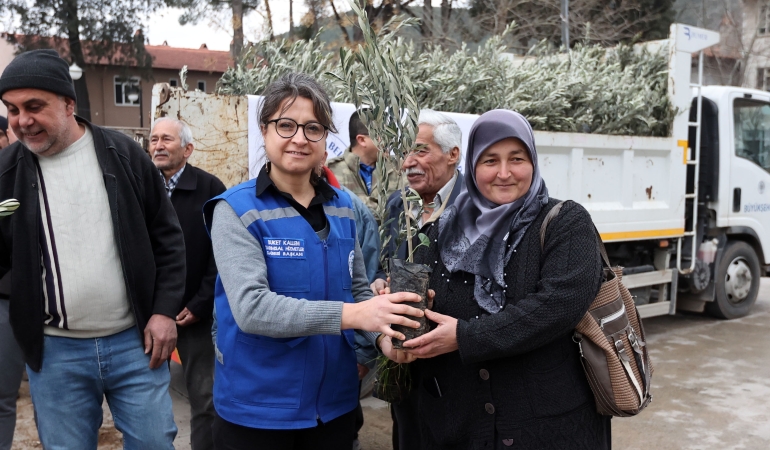Büyükşehir’den Ula’da Üreticiye Zeytin ve Ceviz Fidanı Desteği (1)