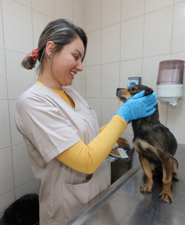 Gaziemir Belediyesi 6 bin 222 can dostun yaşamına dokundu (4)