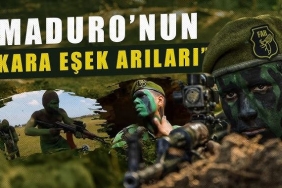 kara eşşek arıları maduro