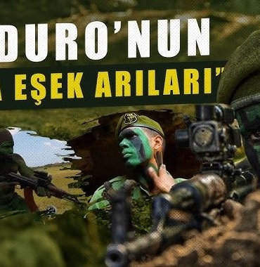 kara eşşek arıları maduro