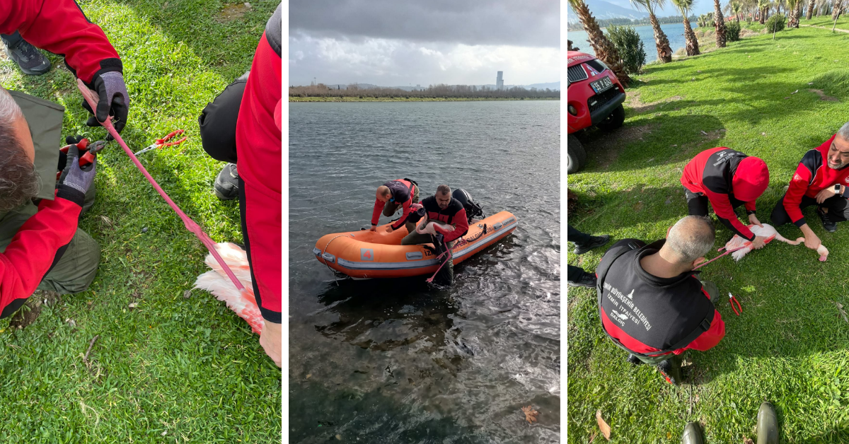 manşet kapak - 2026-01-11T123144.597