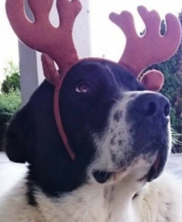 manşet kapak - 2026-01-13T130150.137