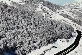 manşet kapak - 2026-01-19T170559.845