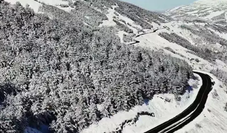 manşet kapak - 2026-01-19T170559.845