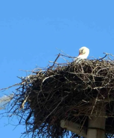 manşet kapak - 2026-01-20T152449.621