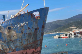 manşet kapak (75)