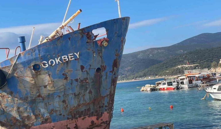 manşet kapak (75)