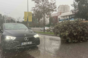 manşet kapak (95)