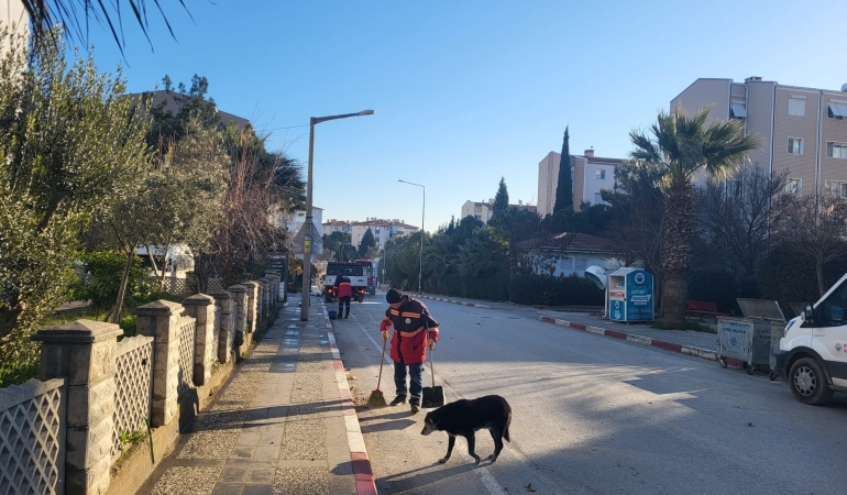 temizlik (5)
