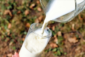 thumbs_b_c_30b84b88880b2b4fa75e5dc465e52fb0