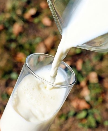 thumbs_b_c_30b84b88880b2b4fa75e5dc465e52fb0