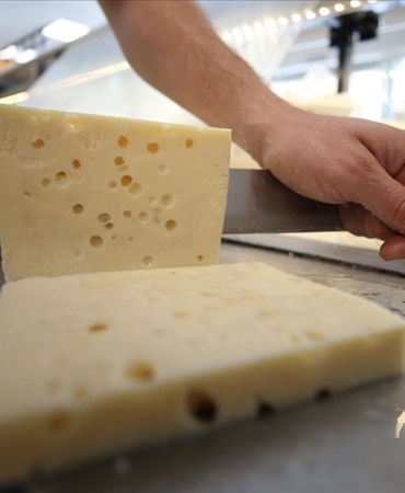 thumbs_b_c_9762ca6537f425bdd2549f526cc12b39