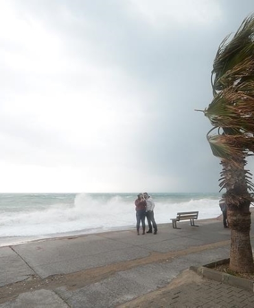 thumbs_b_c_deefecee97df401c9f69619613f1d4f1