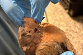 1.02.2026_2941530b-0851-4a0e-bbc0-72f83b1f00b0