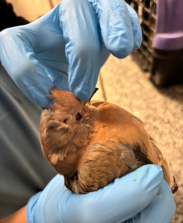 1.02.2026_2941530b-0851-4a0e-bbc0-72f83b1f00b0