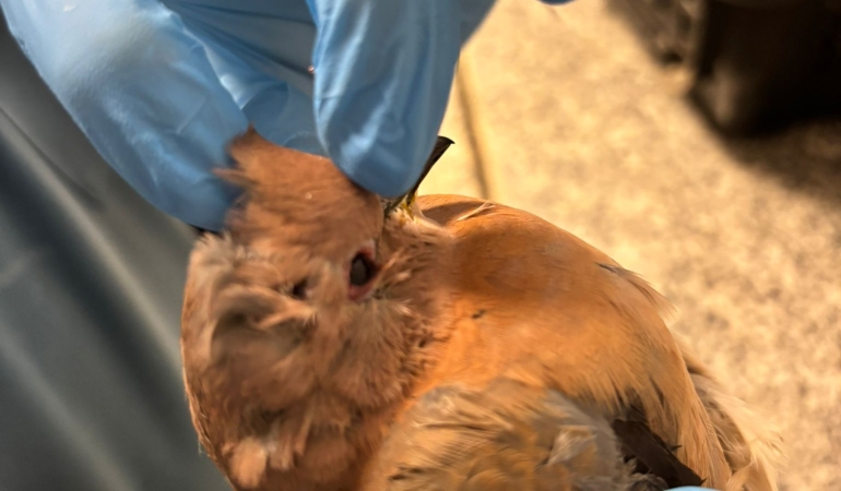 İzmir’de umudu büyüten görüntüler