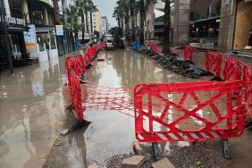 1.02.2026_896d2df9-b2c8-4135-a00d-6db197508b2f