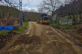 12.02.2026_0f659e5c-22c3-4160-b1cf-526c516a7621