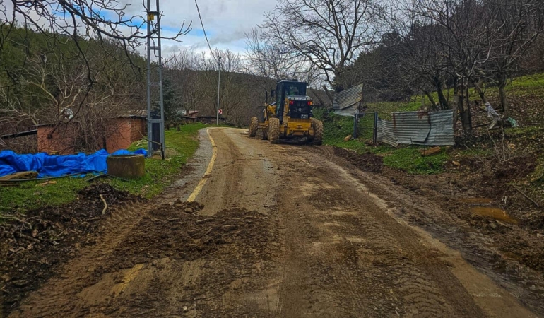 12.02.2026_0f659e5c-22c3-4160-b1cf-526c516a7621