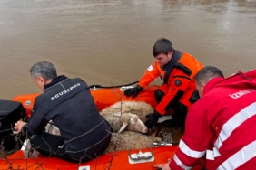 13.02.2026_597aa8ee-e39c-4dcc-926e-697c0318837f