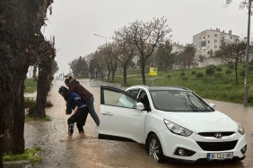 2.02.2026_d5f807b4-642c-4964-9450-3acbebc361aa